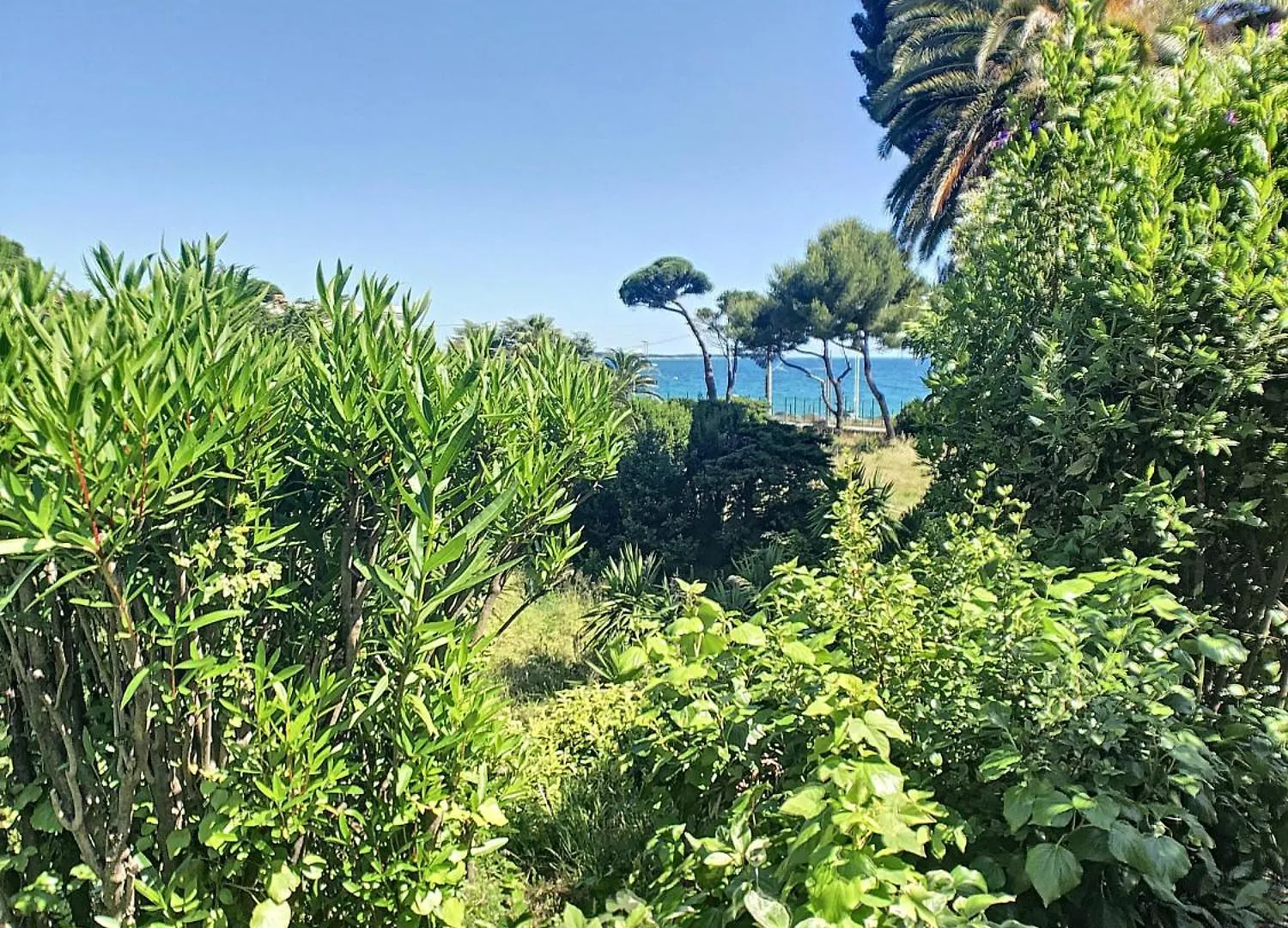 Charmant Appartement En Duplex 288L Cannes 0*,  France