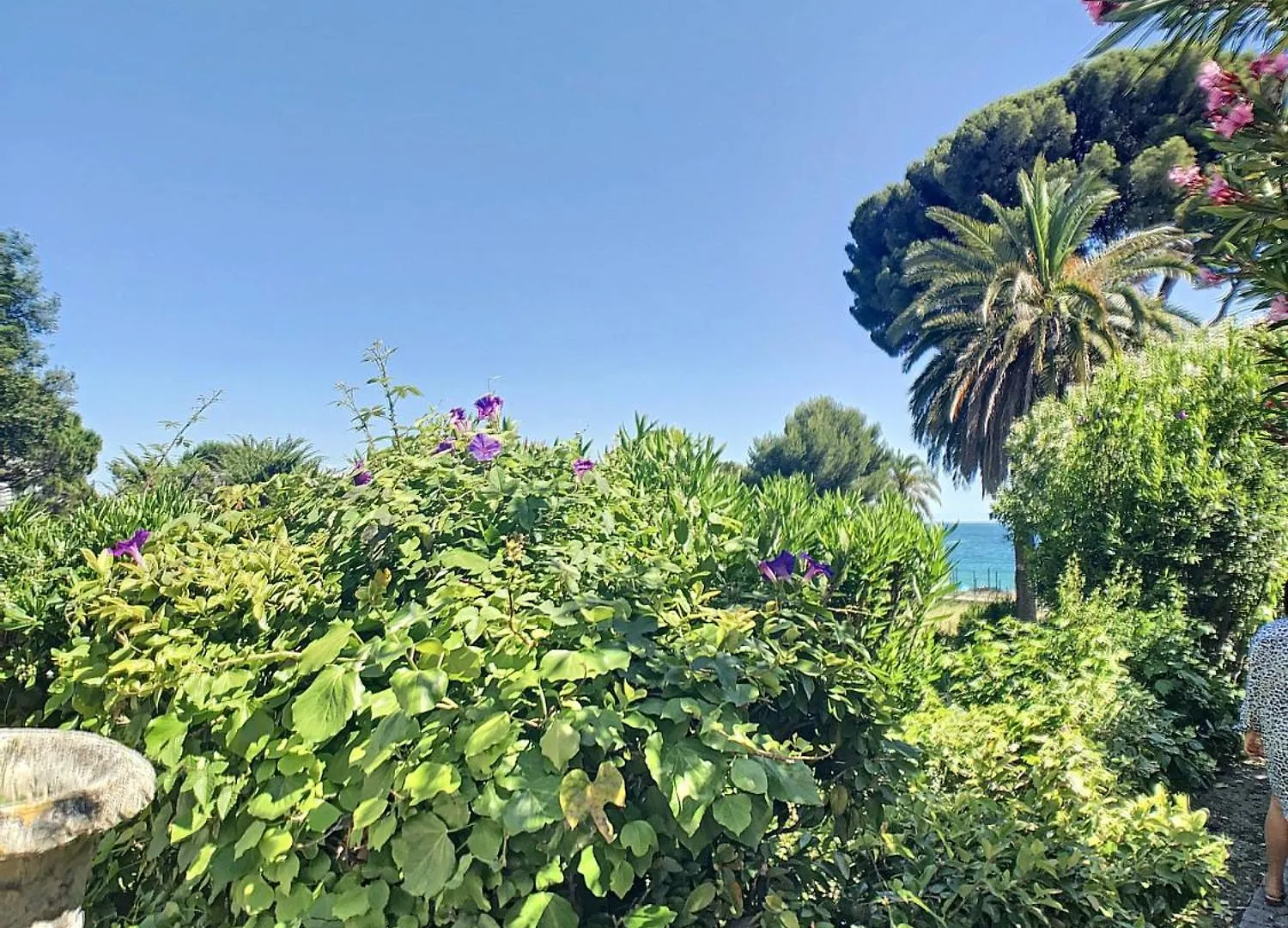 Apartment Charmant Appartement En Duplex 288L Cannes France